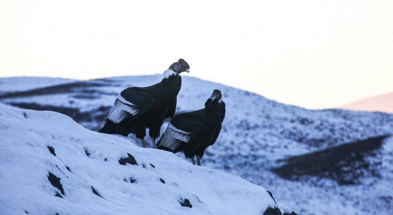 Rio Serrano Hotel + Spa Torres del Paine National Park Εξωτερικό φωτογραφία