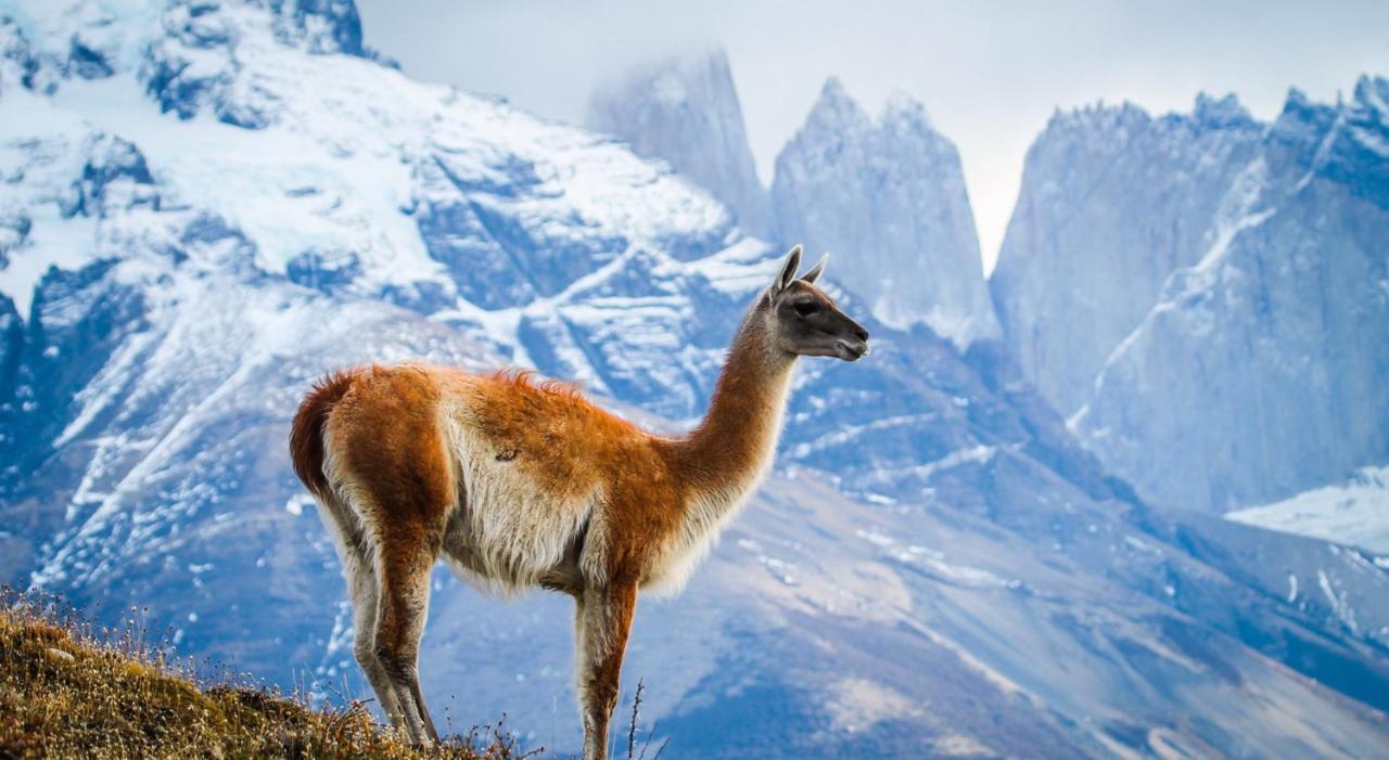 Rio Serrano Hotel + Spa Torres del Paine National Park Εξωτερικό φωτογραφία