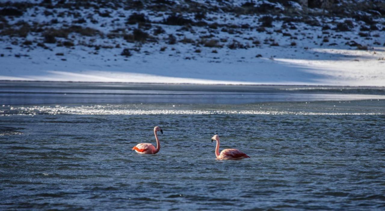 Rio Serrano Hotel + Spa Torres del Paine National Park Εξωτερικό φωτογραφία