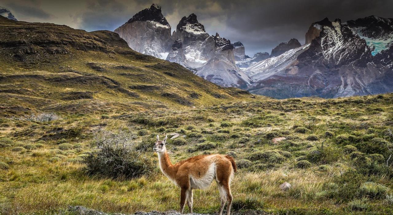 Rio Serrano Hotel + Spa Torres del Paine National Park Εξωτερικό φωτογραφία