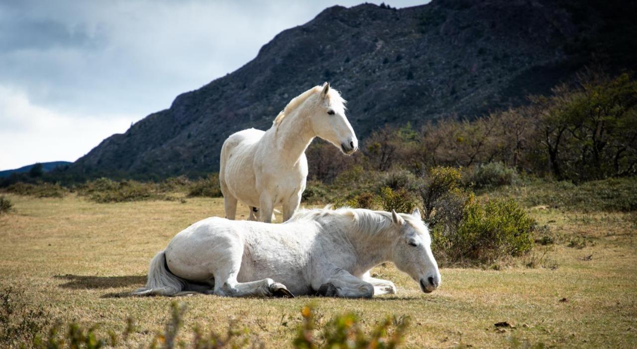 Rio Serrano Hotel + Spa Torres del Paine National Park Εξωτερικό φωτογραφία
